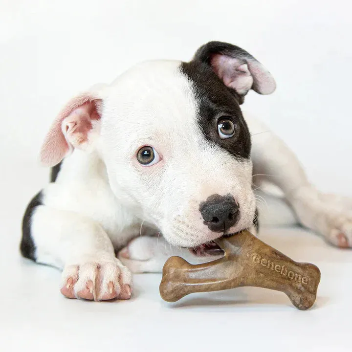 Benebone  Puppy Bacon Wishbone, Dog Toy