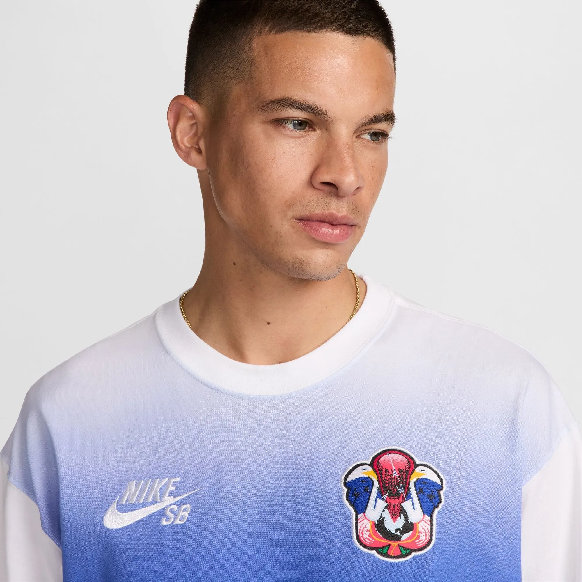 Nike SB Long-Sleeve Skate T-Shirt QS Herren