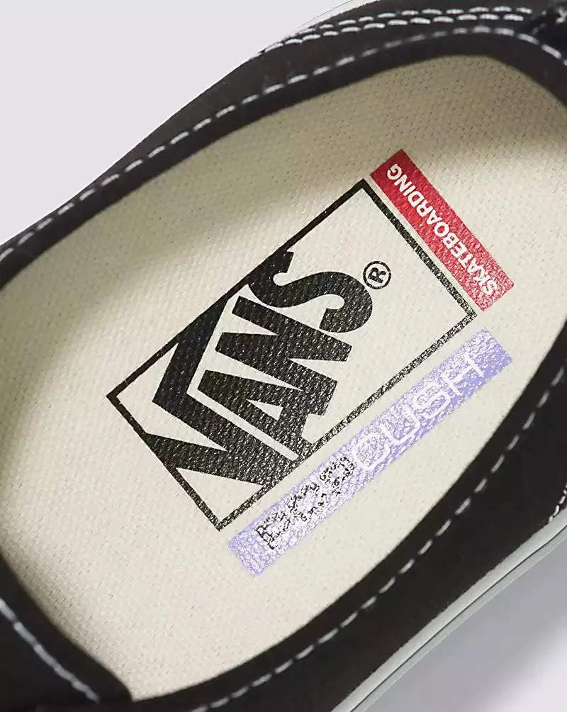 Vans Skate Authentic in Black/White